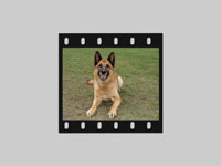 Jerry Lee