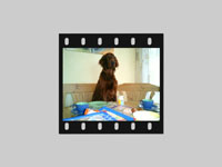Wesley