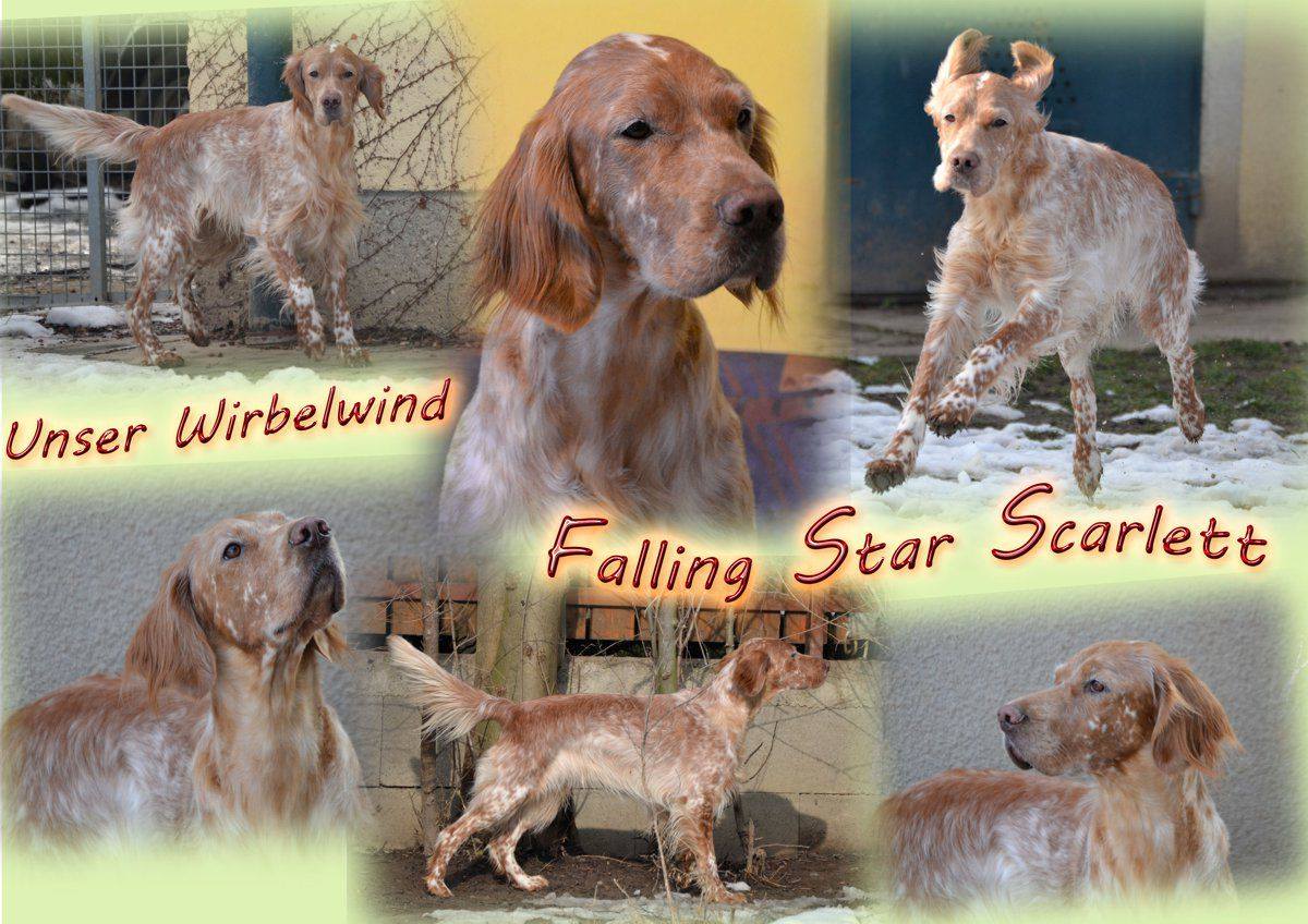 geburtstagssprüche nichts schenken